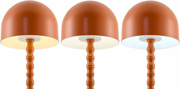 Magdagachi Orange Table Lamp