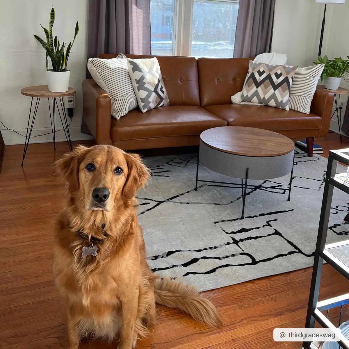 Maguyam Washable Area Rug - Clearance by Boutique Rugs
