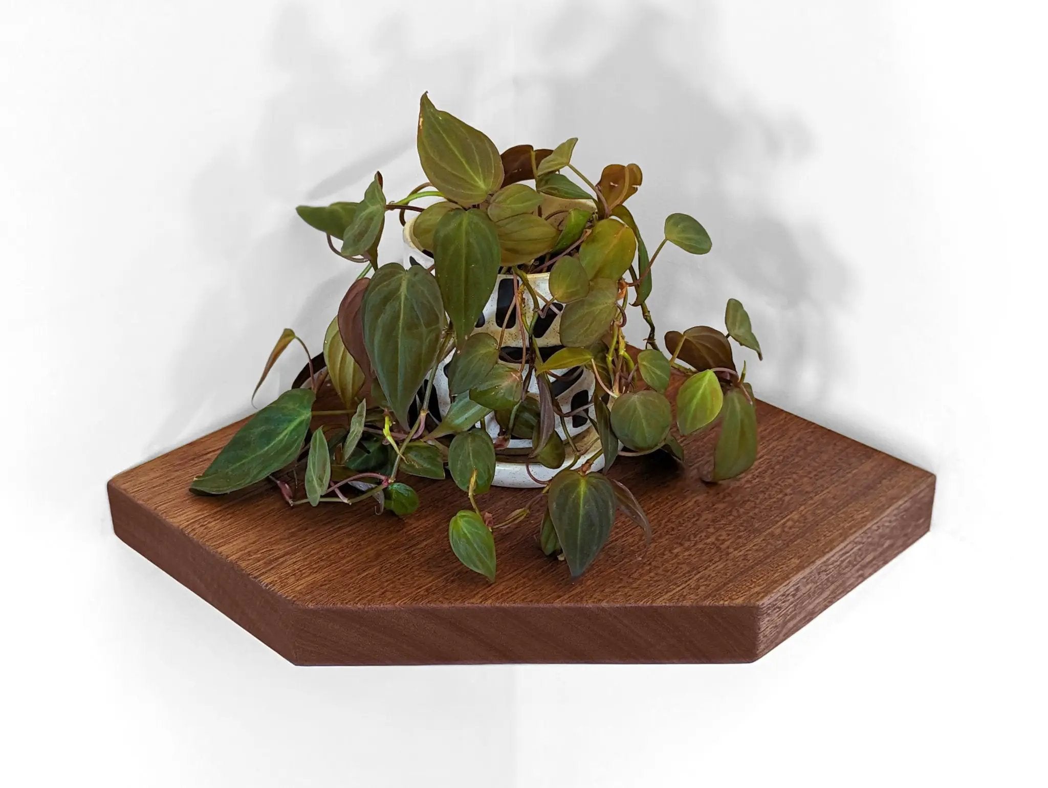 Floating Corner Shelf with Straight Edge in Mahogany by NookWoodworking