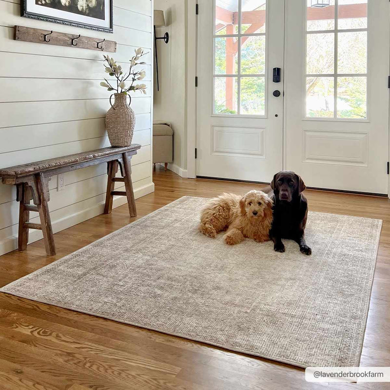Margot Machine Woven Becki Owens x LIVABLISS BOSC-2302 Area Rug by Boutique Rugs