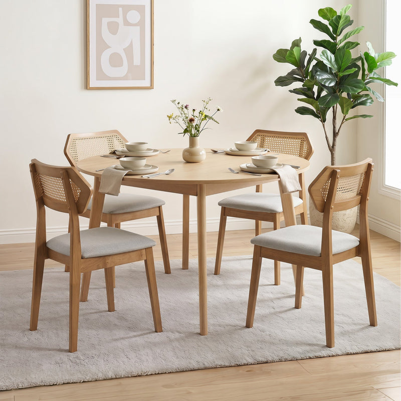 Mid Century Rattan Dining Chairs Set of 2 with Wood Frame by DirectDeals