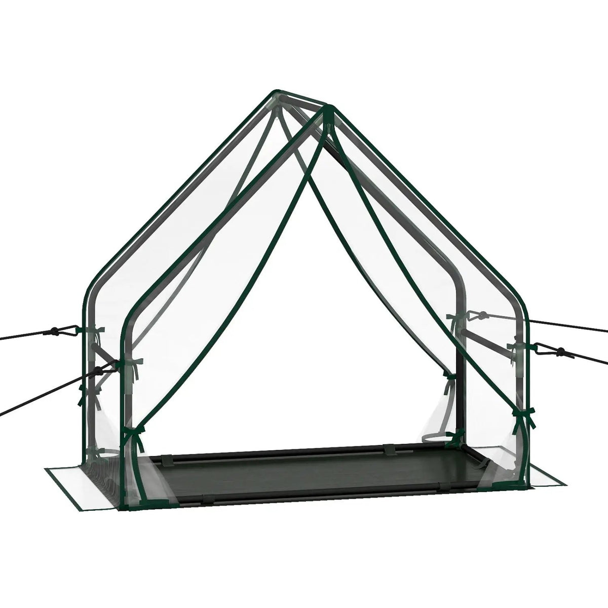 Mini Green House Metal Frame with Waterproof Bottom Mat and Wind Ropes, photo 2 of 16