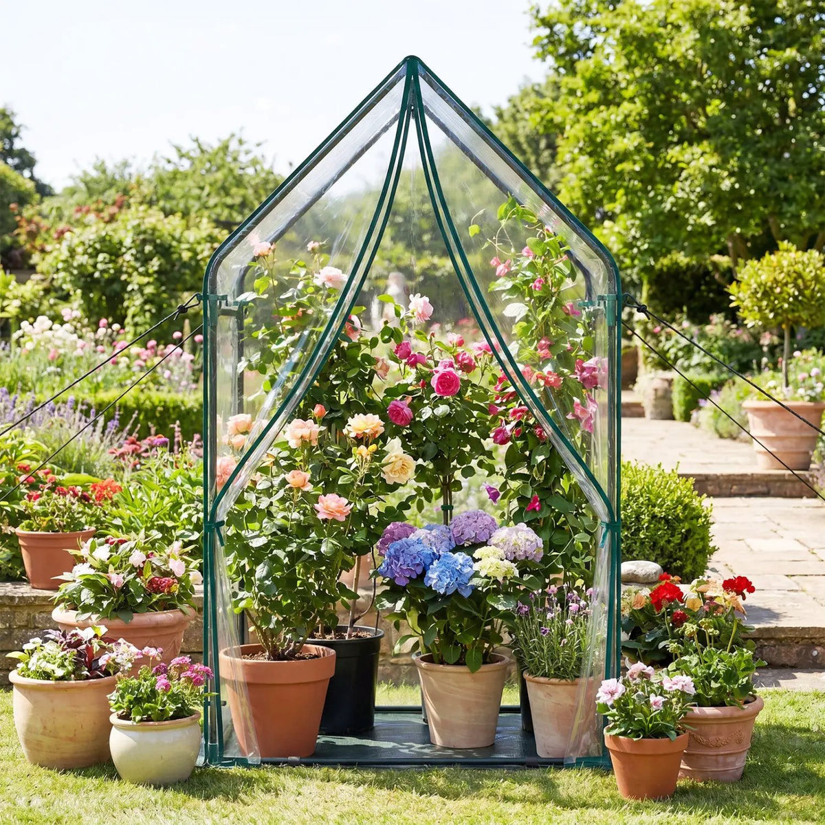 Mini Green House Metal Frame with Waterproof Bottom Mat and Wind Ropes, photo 3 of 16