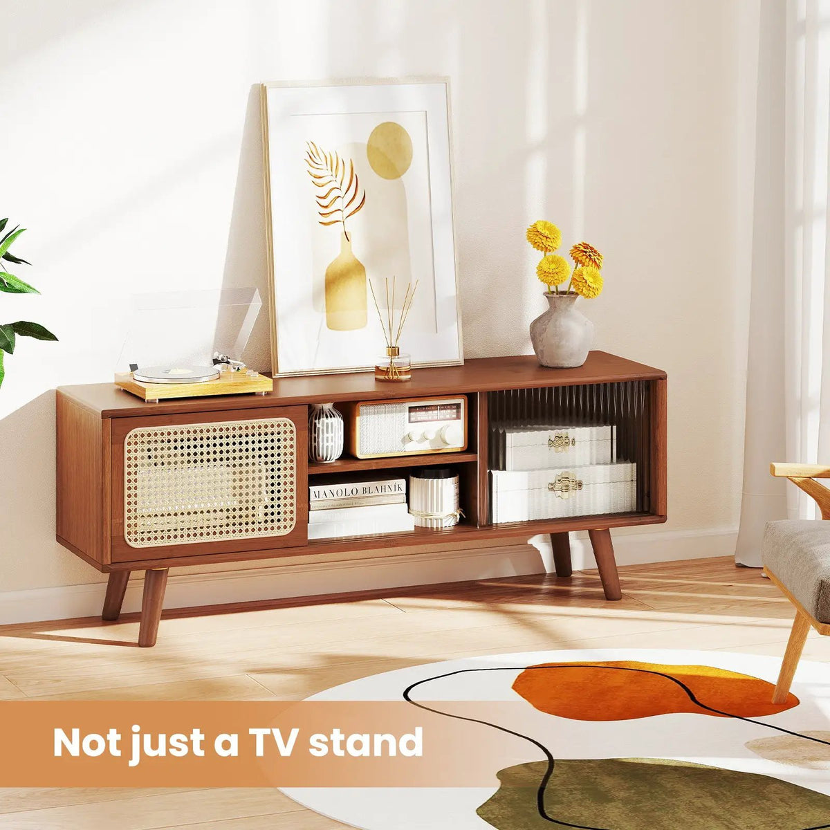 Modern TV Stand with Rattan Glass Sliding Doors, photo 2 of 9