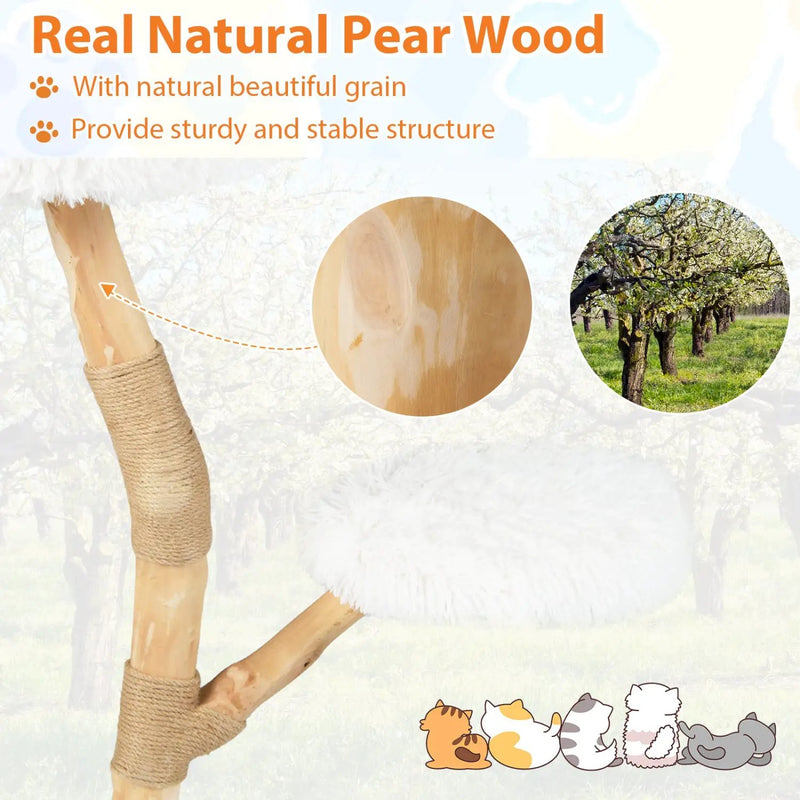 Wooden Cat Tree Tower with Perch and Scratching Posts by DirectDeals
