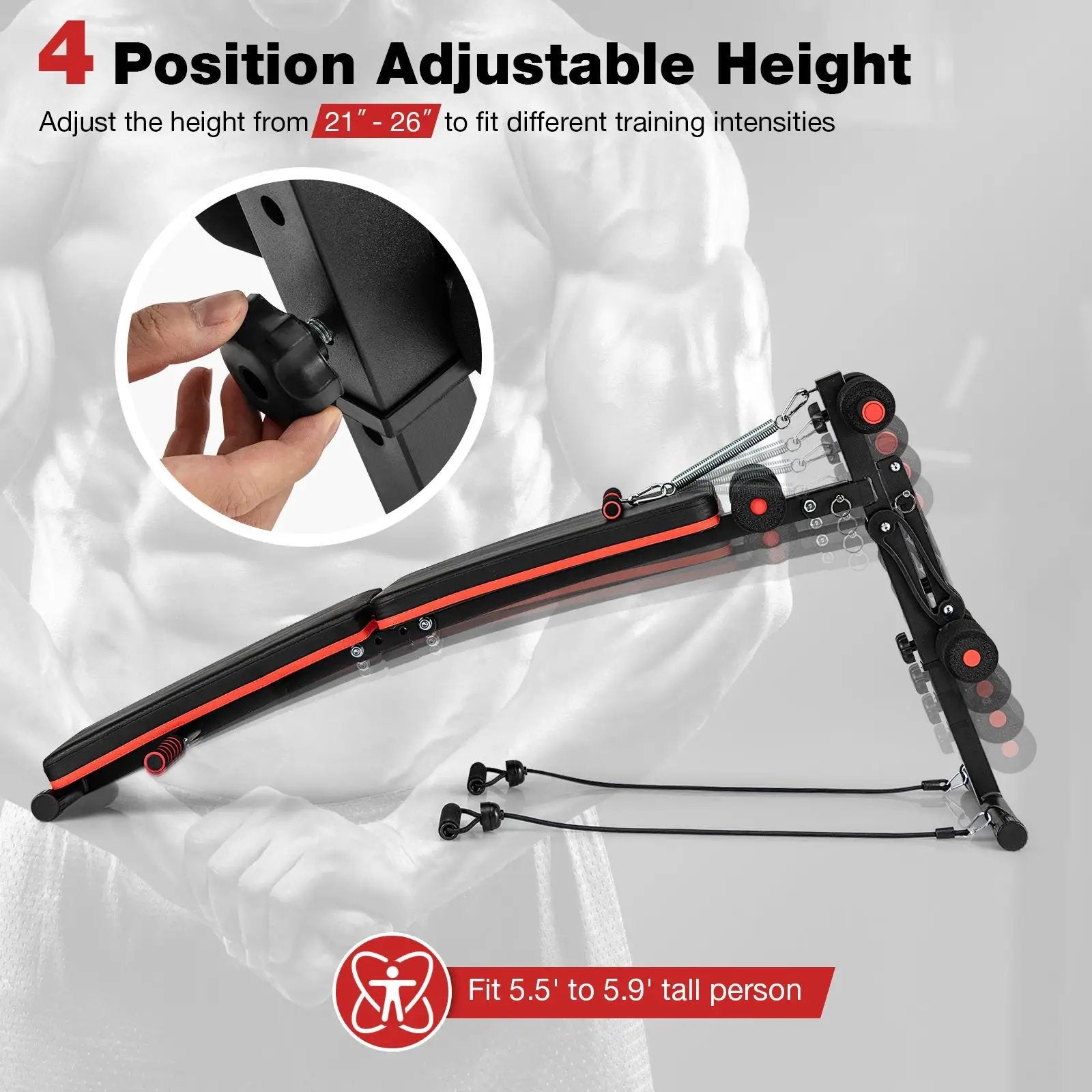 Multifunctional Sit up Bench 4 Position Adjustable Metal Workout Bench by DirectDeals