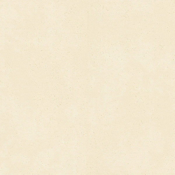 Architecta Glacier Matte Porcelain Tiles 48x48