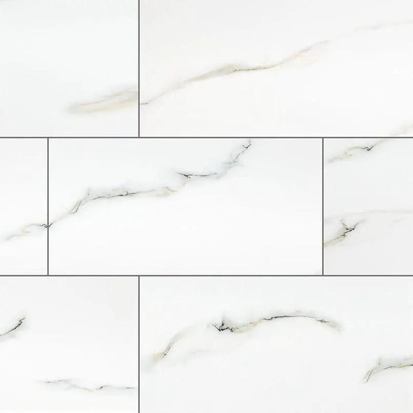 Aria Bianco Polished Marble Look Porcelain Tiles 12x24