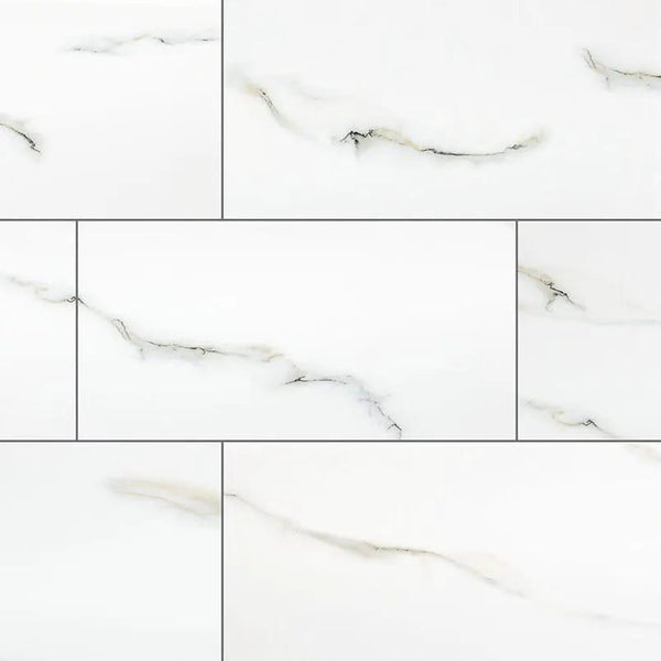 Aria Bianco Polished Marble Look Porcelain Tiles 24x48