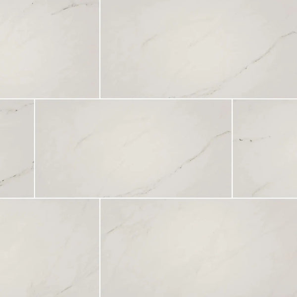 Aria Ice Polished Marble Look Porcelain Tiles 12x24