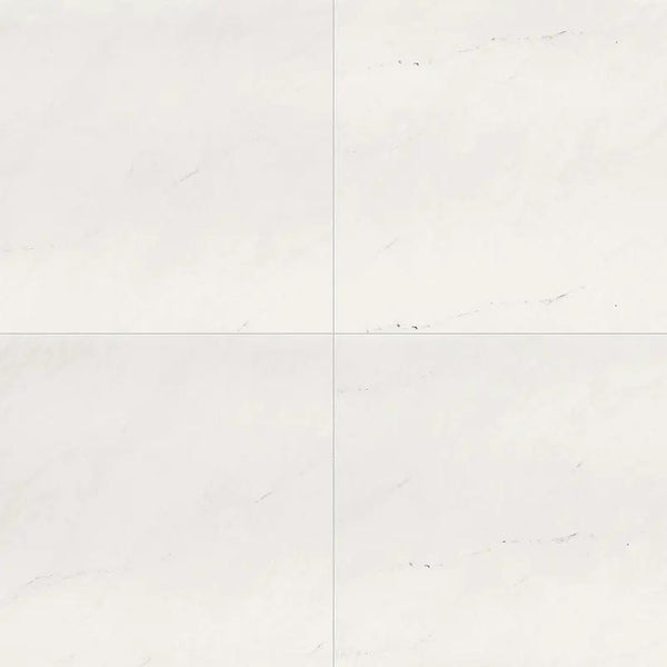 Aria Ice Polished Marble Look Porcelain Tiles 24x24