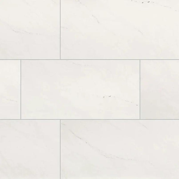 Aria Ice Polished Marble Look Porcelain Tiles 24x48