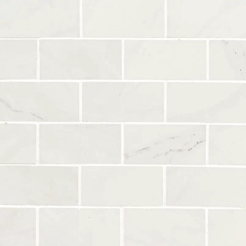 Aria Ice Polished Marble Look Porcelain Mosaics 2x4 close up