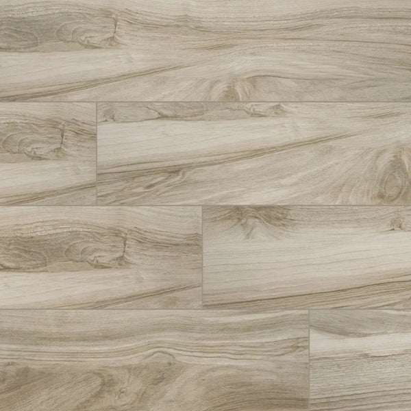 Aspenwood Ash Matte Porcelain Tiles 9x48