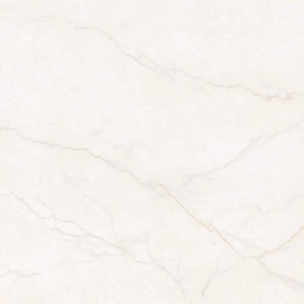 Brighton Gold Matte Porcelain Tiles 48x48