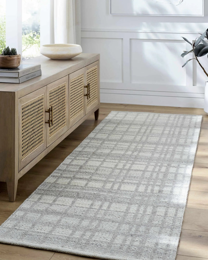 Nissa Light Gray Area Rug - Clearance by Boutique Rugs