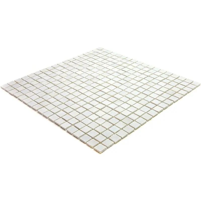 Dolphine Gray 12x12 Glossy Uniform Square Glass Mosaic Tile (20 pack, 18.69 sq ft/case) by Apollo Tile
