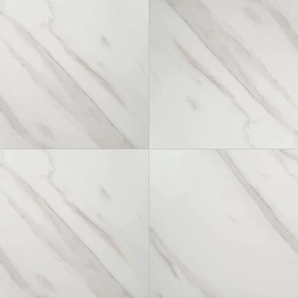Pietra Calacatta Matte Marble Look Porcelain Tiles 24x24