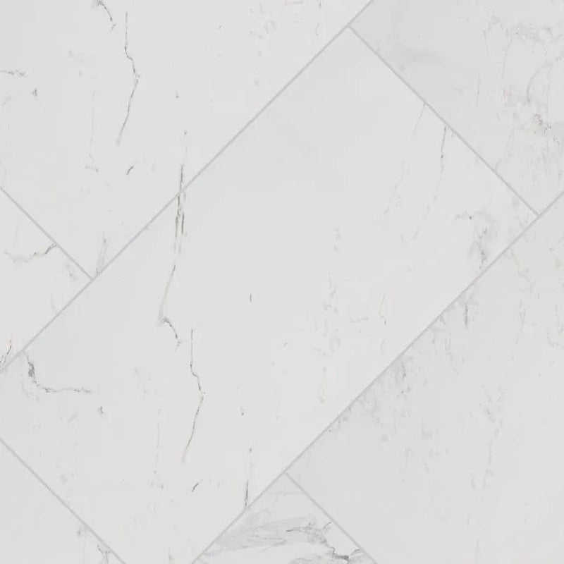 Pietra Carrara Matte Hexagon Marble Look Porcelain Mosaics 2x2 angled view
