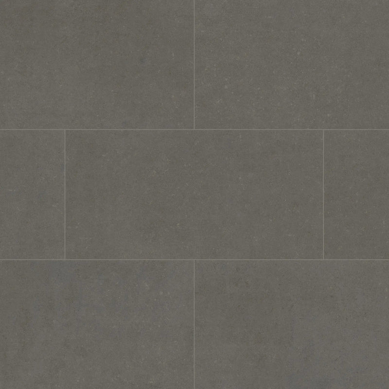 Dimensions Concrete Matte Porcelain Tiles 12x24 close up