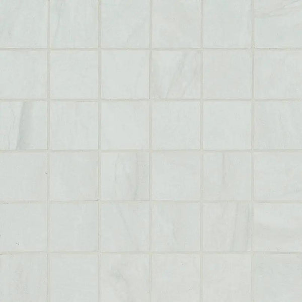 Durban White Matte Porcelain Mosaics 2x2
