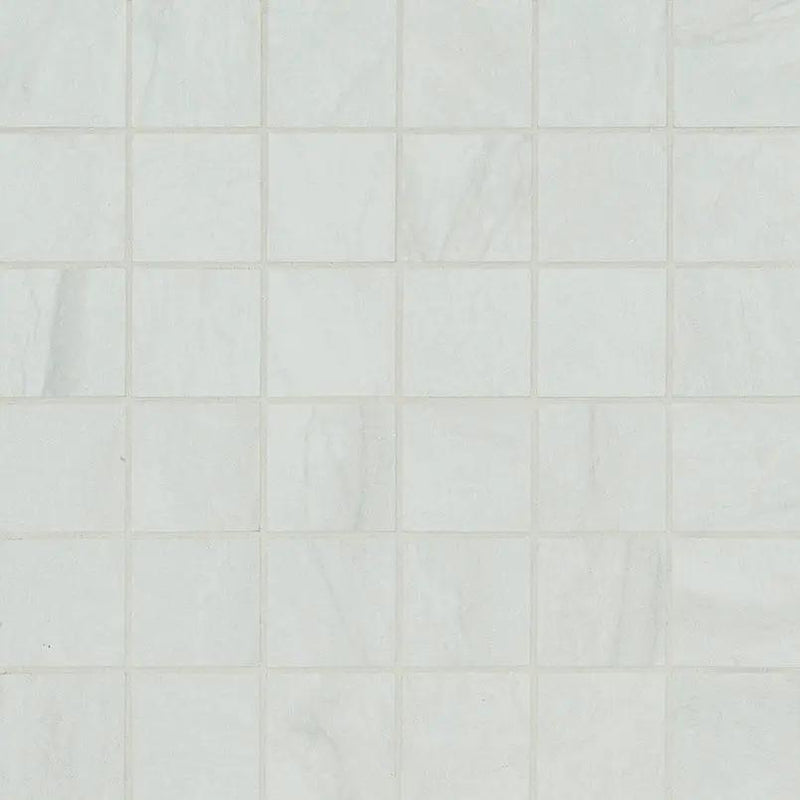 Durban White Matte Porcelain Mosaics 2x2 close up