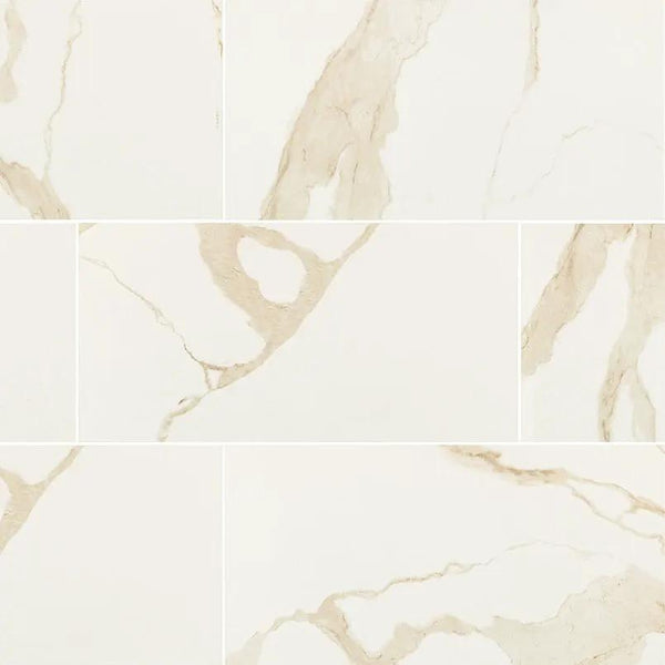 Eden Calacatta Matte Marble Look Porcelain Tiles 24x48