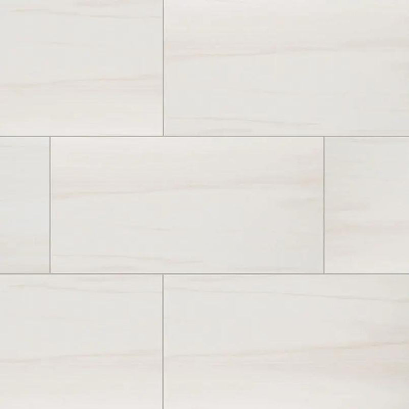 Eden Dolomite Matte Marble Look Porcelain Tiles 12x24 close up