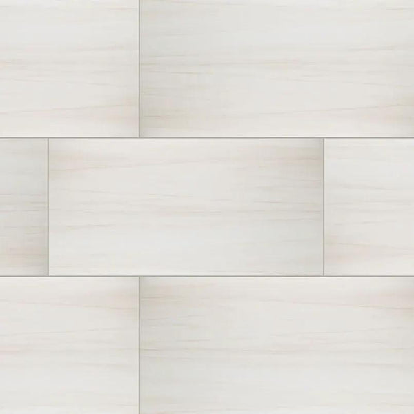 Eden Dolomite Matte Marble Look Porcelain Tiles 24x48