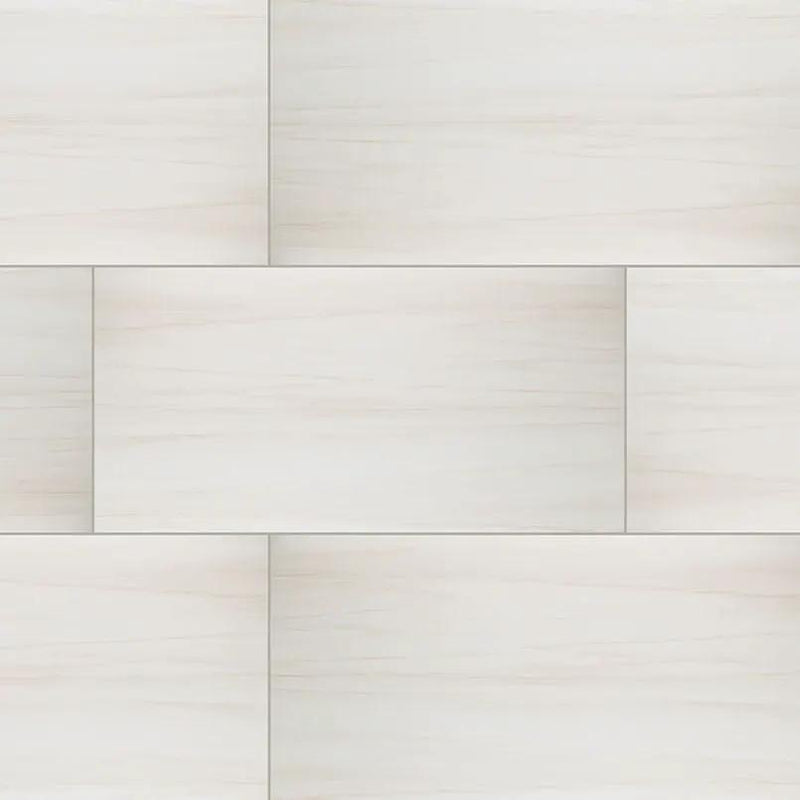 Eden Dolomite Matte Marble Look Porcelain Tiles 24x48 close up