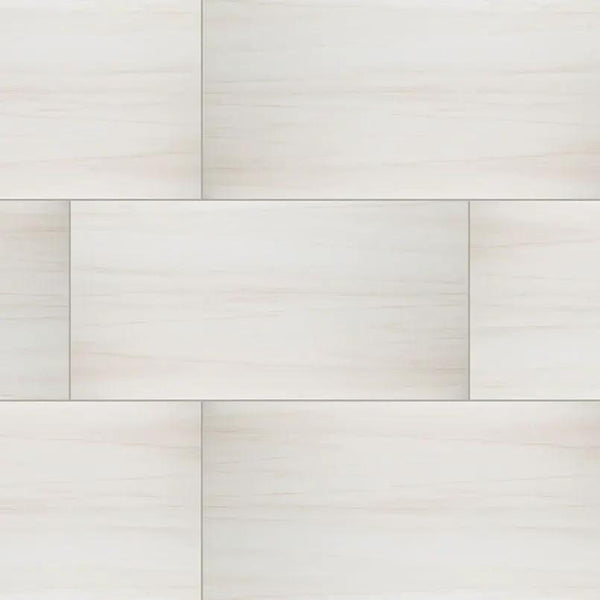 Eden Dolomite Polished Marble Look Porcelain Tiles 24x48