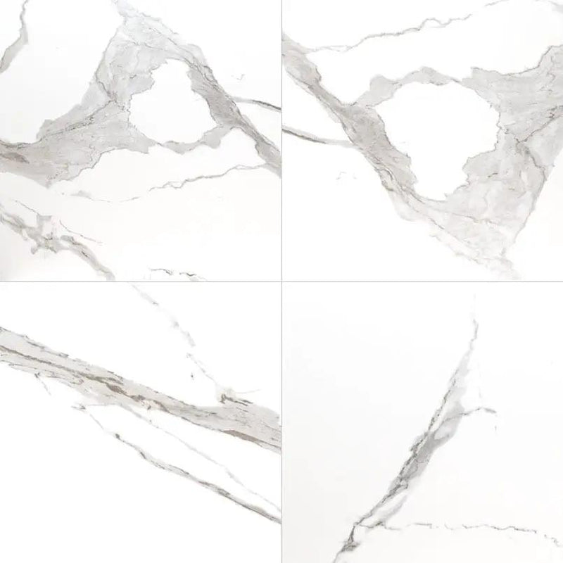 Eden Statuary Matte Marble Look Porcelain Tiles 24x24 by MSI Surfaces