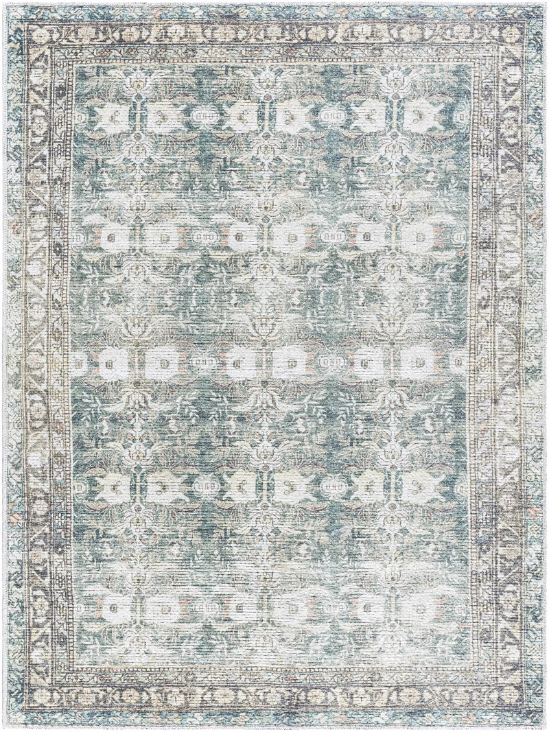 Walta Washable Area Rug by Boutique Rugs