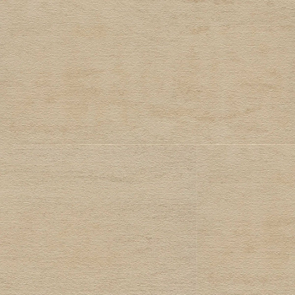 Livingstyle Beige Ridge Matte Porcelain Tiles 24x48