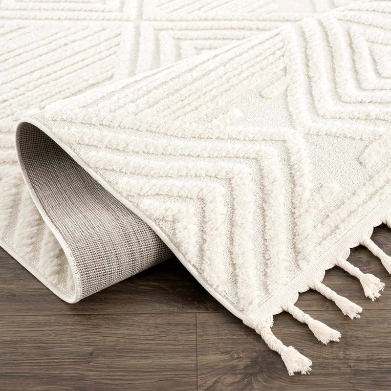 Manyas 3D Bone Area Rug with Tassels - Clearance by Boutique Rugs