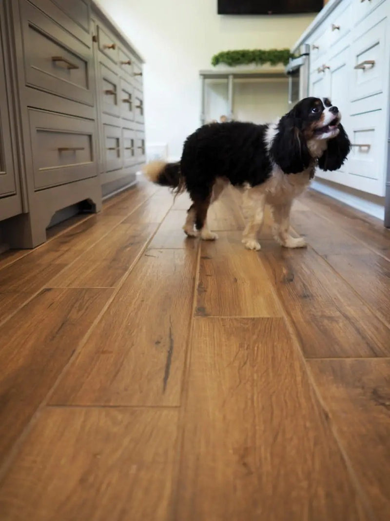 Palmetto Cognac Matte Porcelain Tiles 6x36 in a finished room