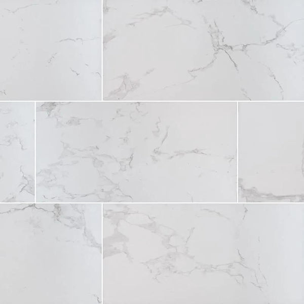 Praia Carrara Matte Porcelain Tiles 12x24