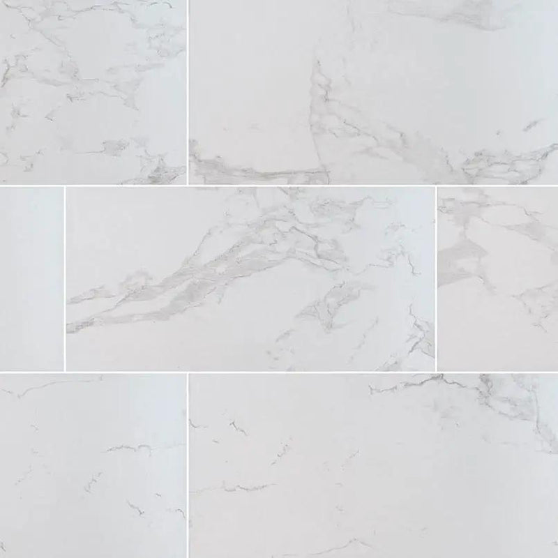 Praia Carrara Matte Porcelain Tiles 24x48 close up