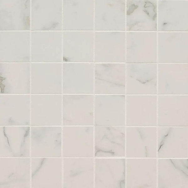 Regallo Calacatta Isla Matte Marble Look Porcelain Mosaics 2x2