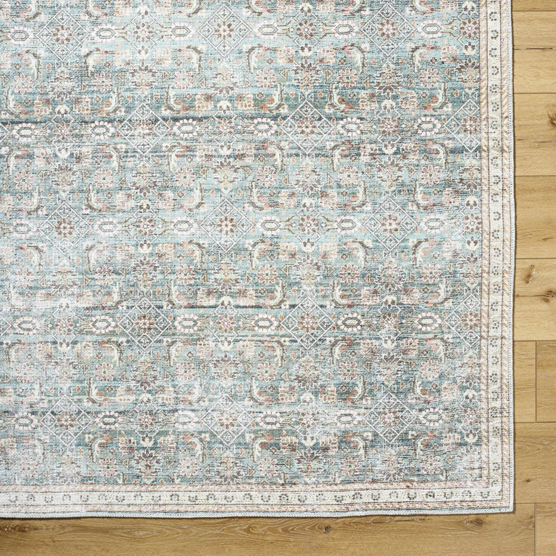 Ayanna Washable Area Rug by Boutique Rugs