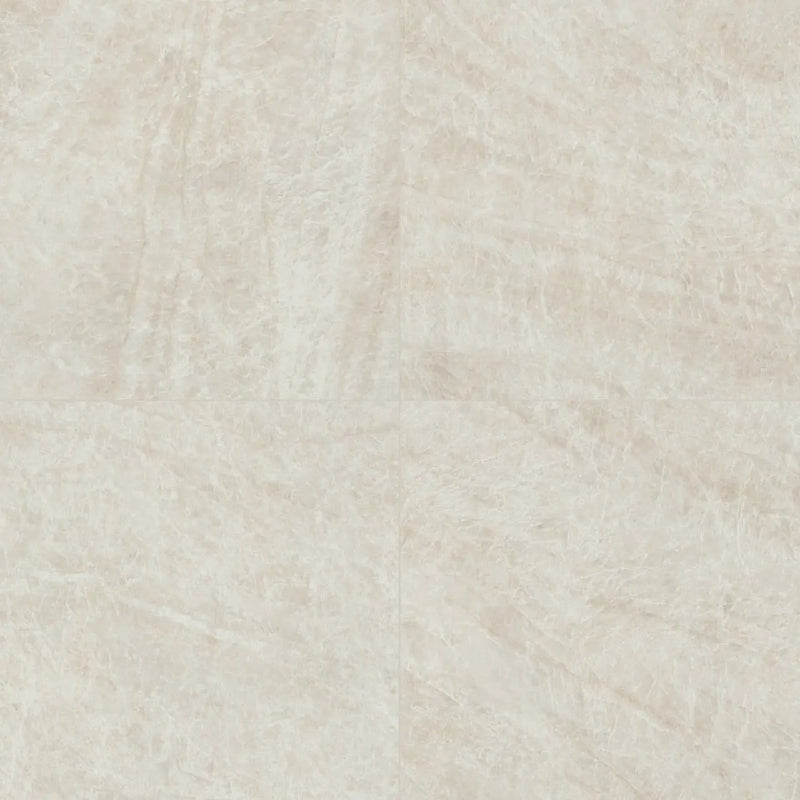 Legions Taja Ivory Matte Porcelain Tiles 24x24 by MSI Surfaces