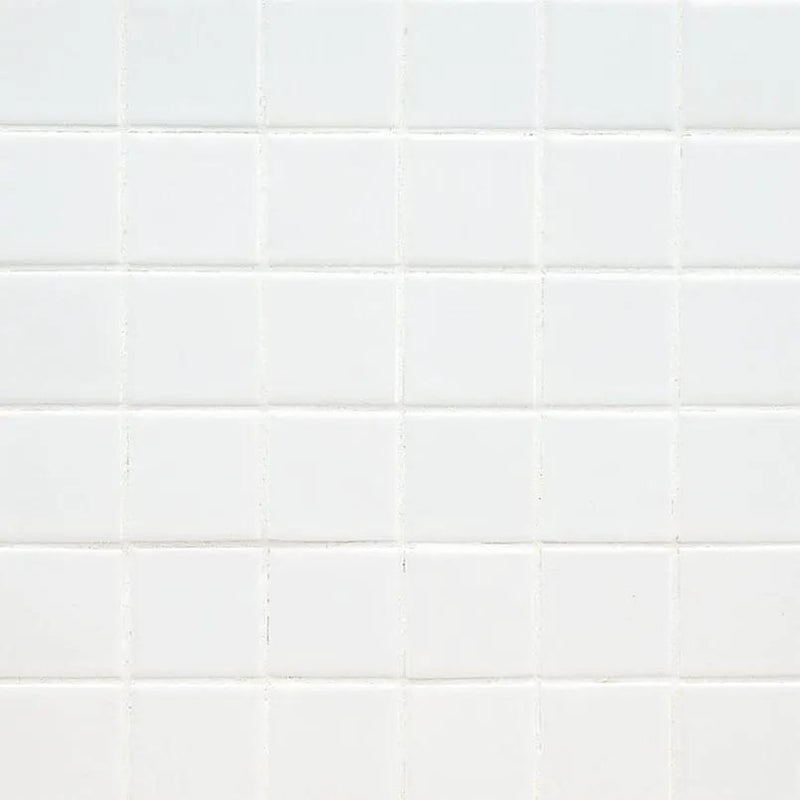 Domino White Matte Porcelain Tiles 2x2 N close up