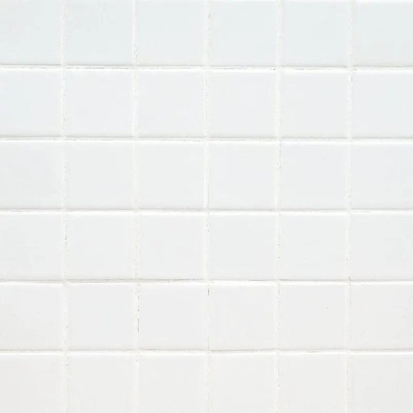 Domino White Polished Porcelain Tiles 2x2