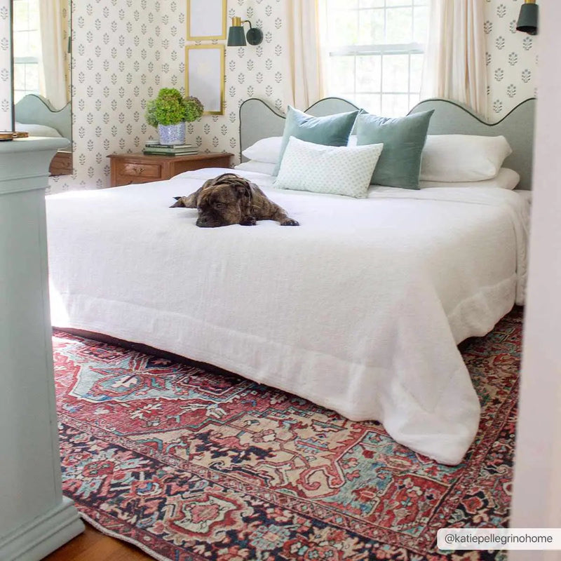 Neyland Washable Area Rug by Hauteloom