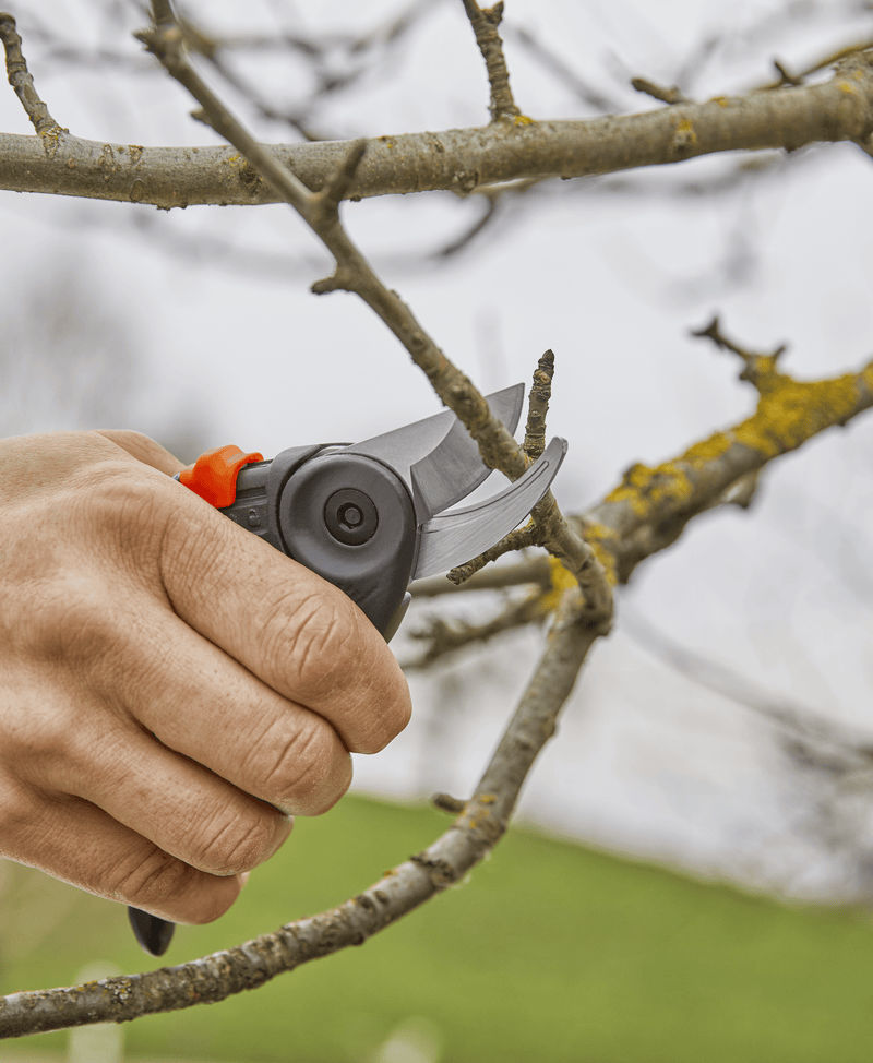 Garden Secateurs ExpertCut, photo 4 of 6