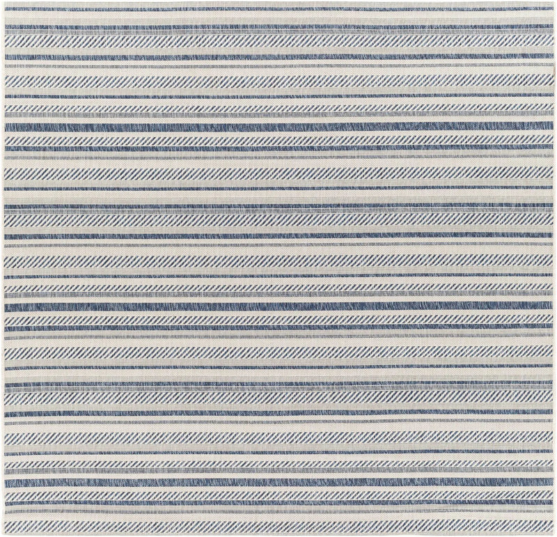 Olin White&Blue Striped Nordic Outdoor Rug by Boutique Rugs