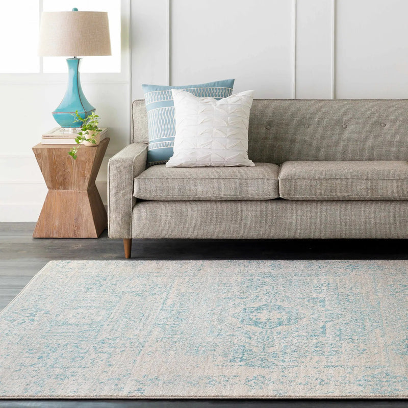 Omega Area Rug - Clearance by Boutique Rugs