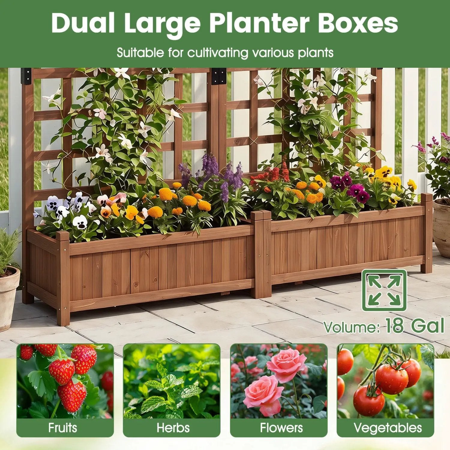 Dual Raised Garden Bed with Trellis and Drainage Holes by DirectDeals
