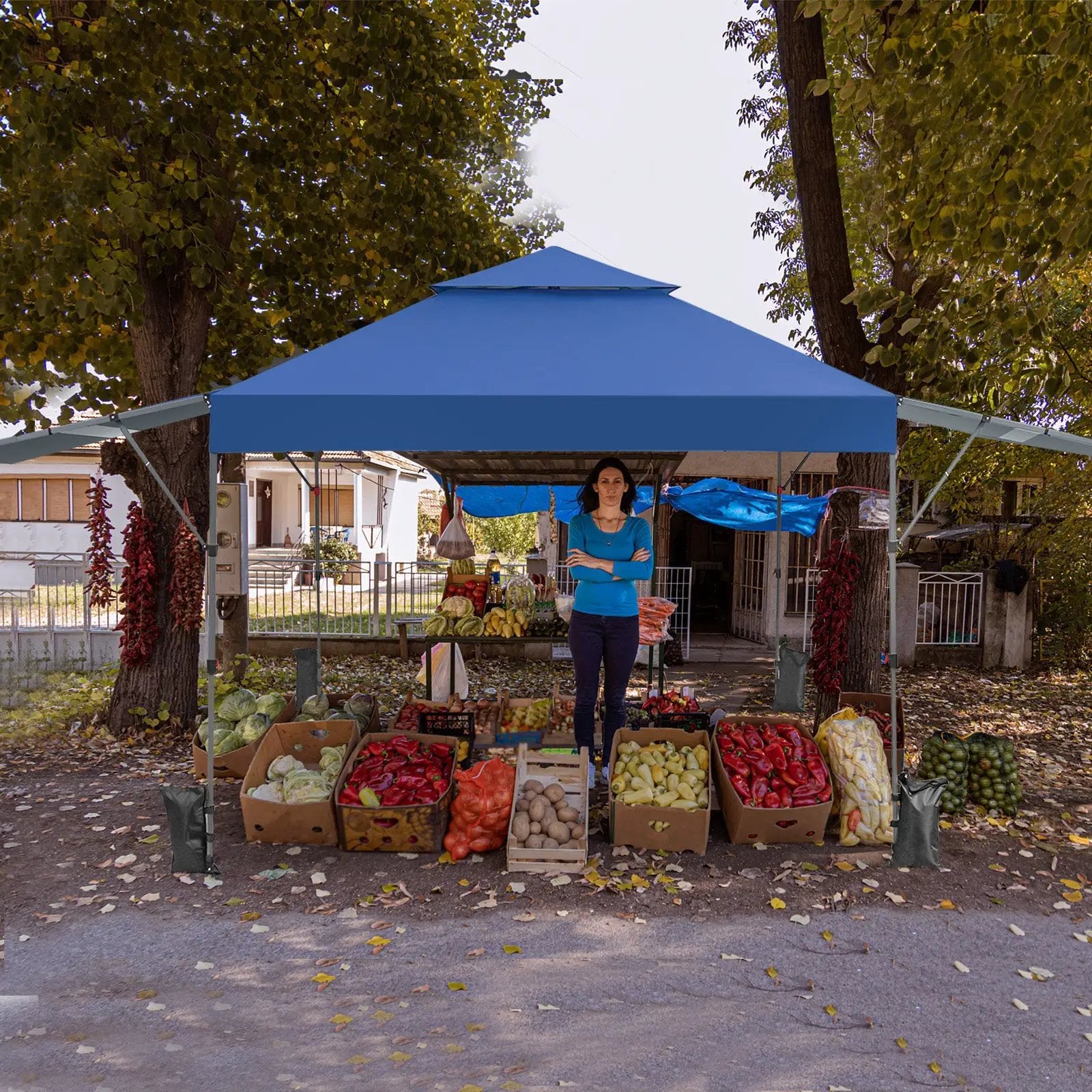 10 x 17.6 Feet Outdoor Instant Pop-up Canopy Tent with Dual Half Awnings