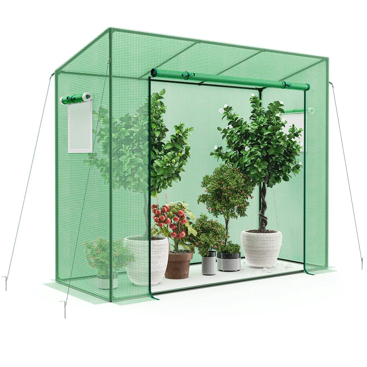 Outdoor Portable Walk-in Greenhouse with PE Cover Heavy-Duty Metal Frame Roll-up Zipper Door, photo 3 of 9